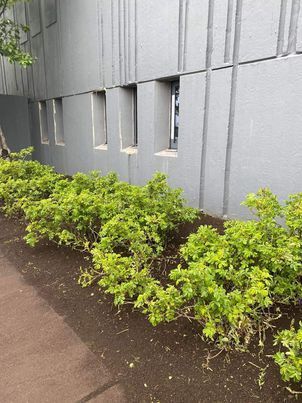 448909285_1428372444542369_4456377735276581218_n