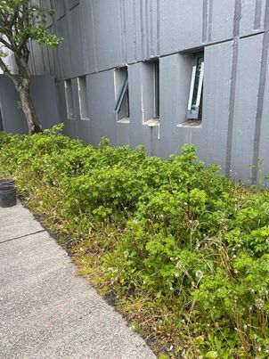 449868801_861889475787103_4964291303190692014_n