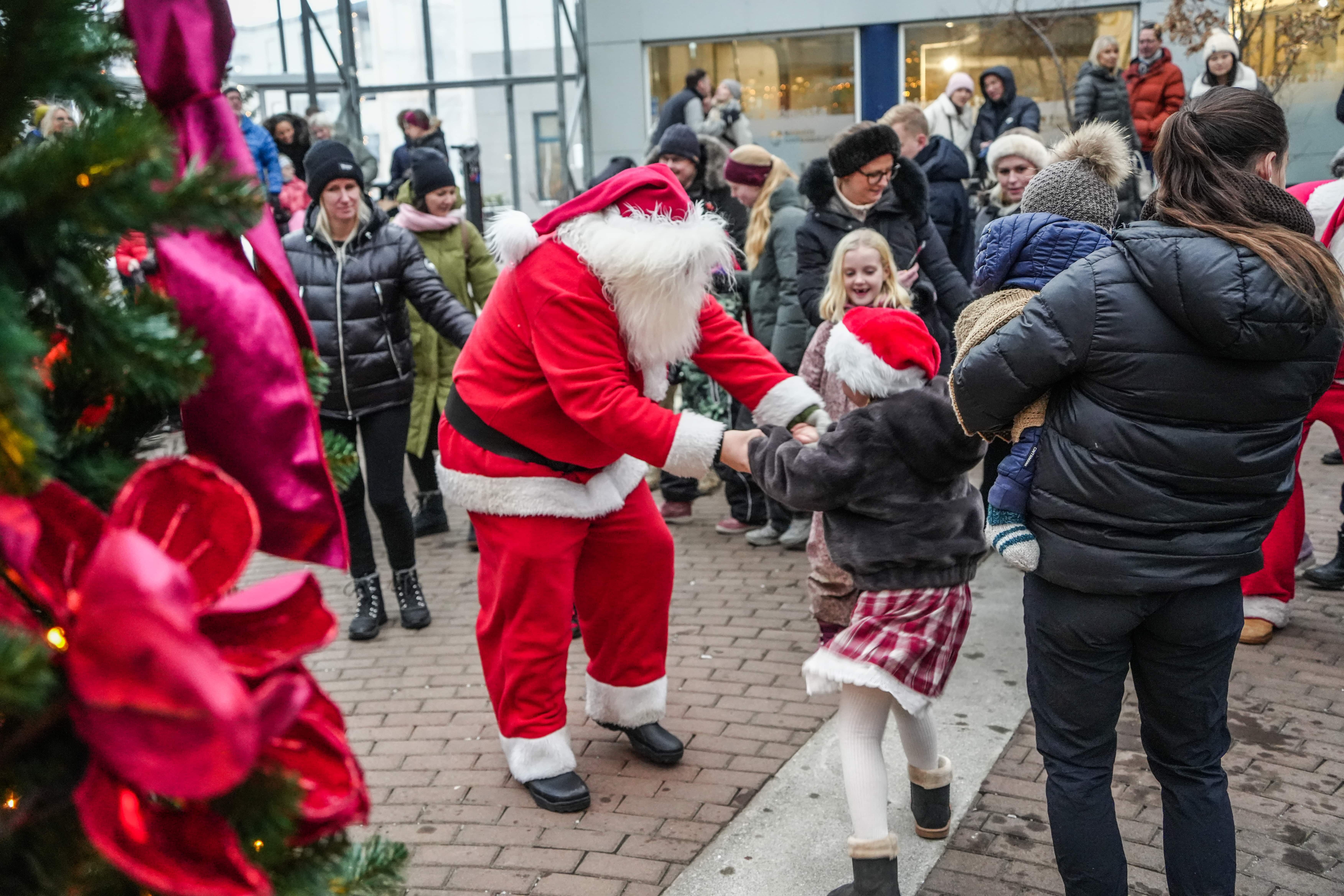 Adventuhatid-gardabaejar-2025-16-