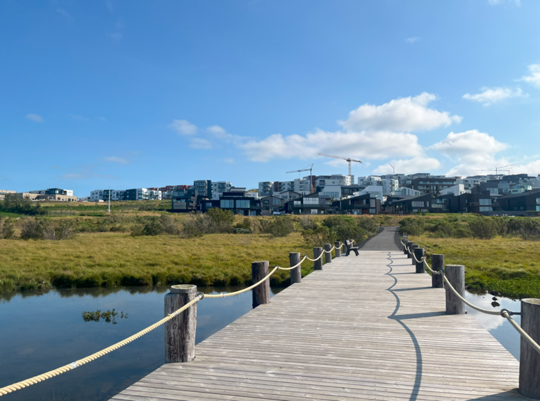 Skjamynd-2025-09-01-111954